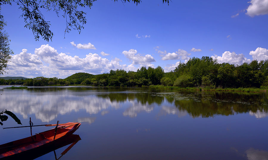 葛店紫菱湖湿地公园图片