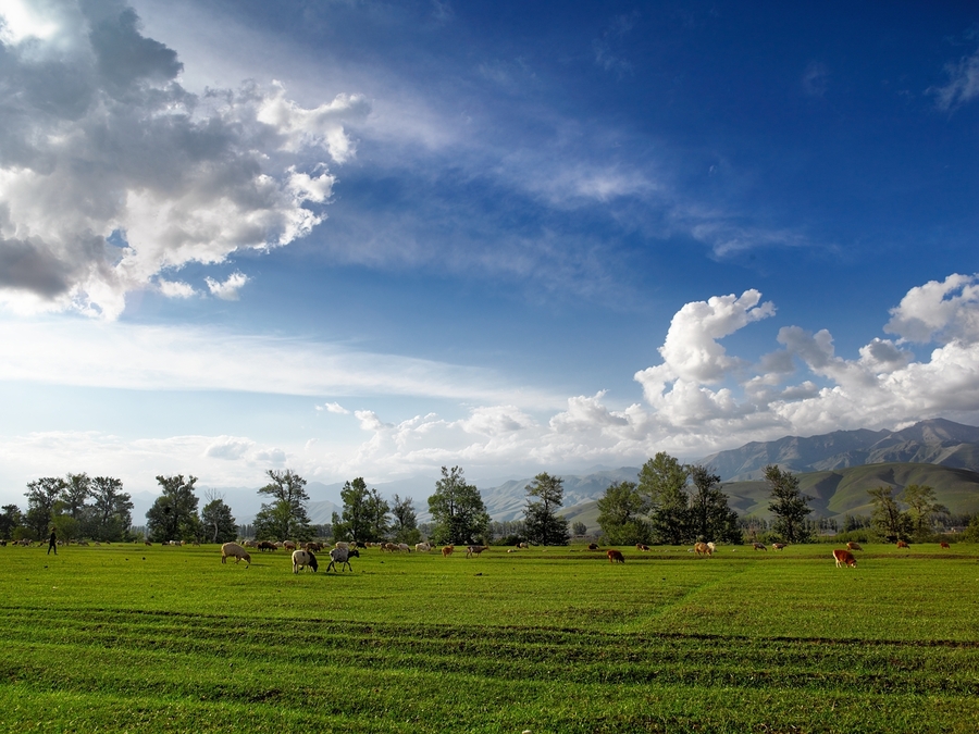 ͣЪĸ壭ǧｮƮ֮ţԭ 