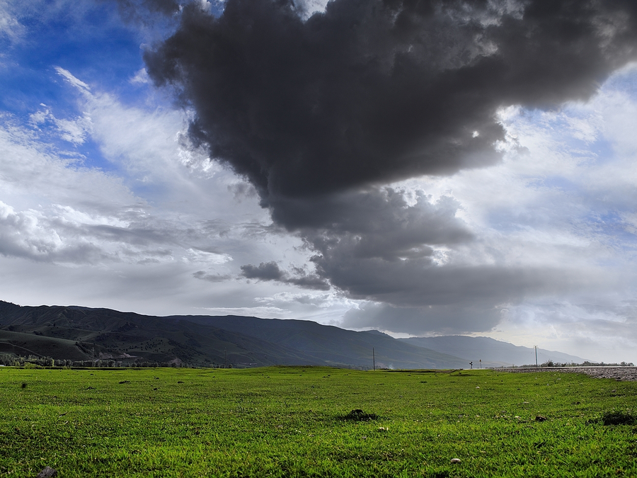 ͣЪĸ壭ǧｮƮ֮ţԭ 