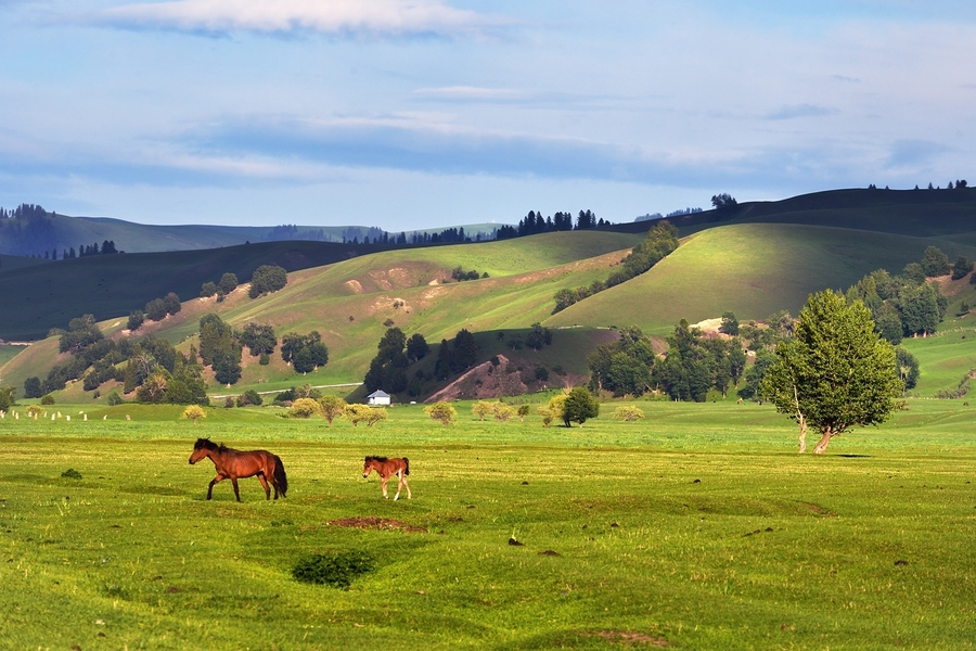 ͣЪĸ壭ǧｮƮ֮ţԭ 