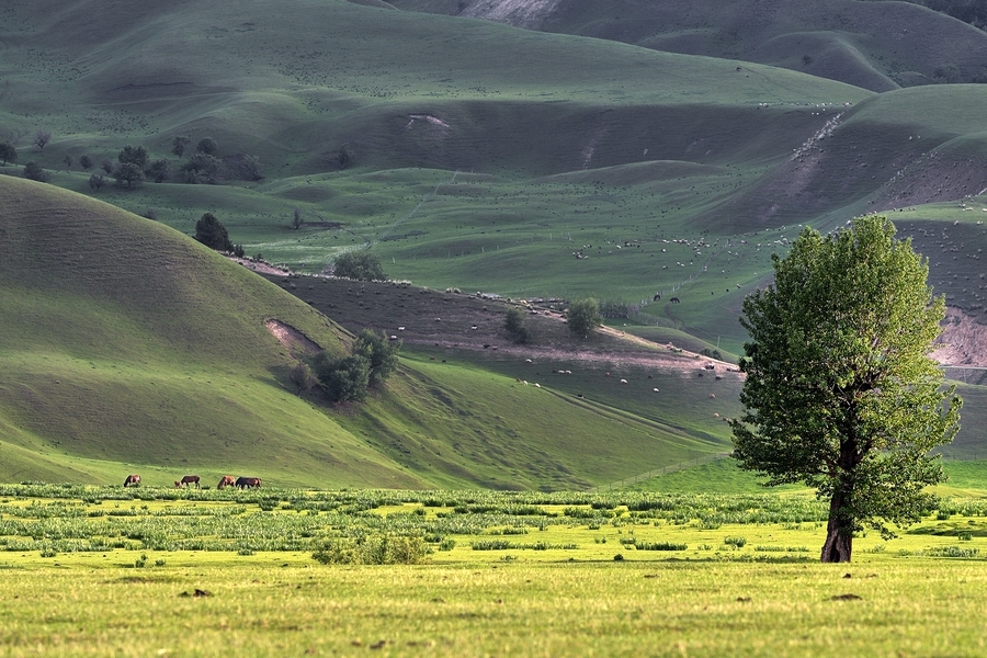 ͣЪĸ壭ǧｮƮ֮ţԭ 