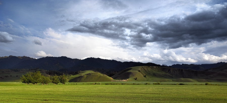 ͣЪĸ壭ǧｮƮ֮ţԭ 