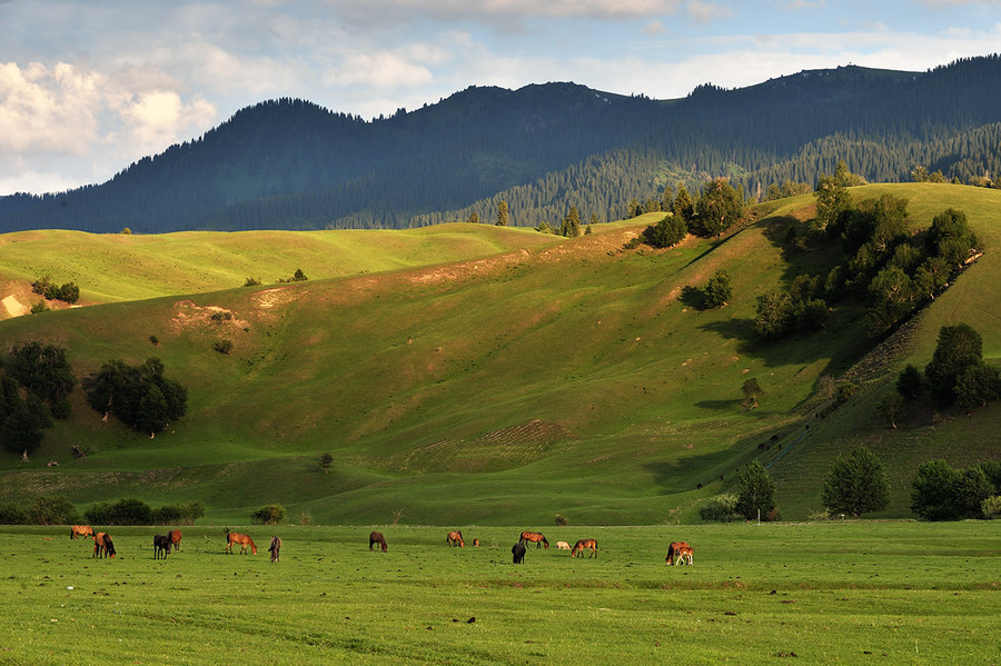 ͣЪĸ壭ǧｮƮ֮ţԭ 