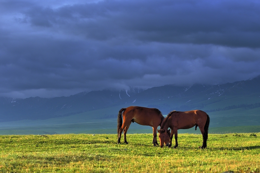 ͣЪĸ壭ǧｮƮ֮ţԭ 