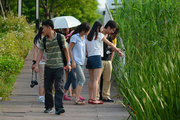 那天在后滩湿地公园遇到的一些人