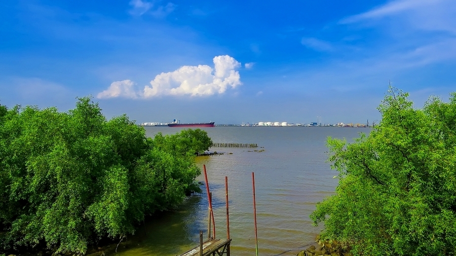 番禺海鸥岛图片图片