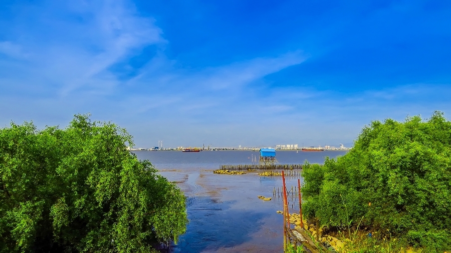 海鸥岛湿地公园图片