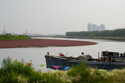 河湾小景