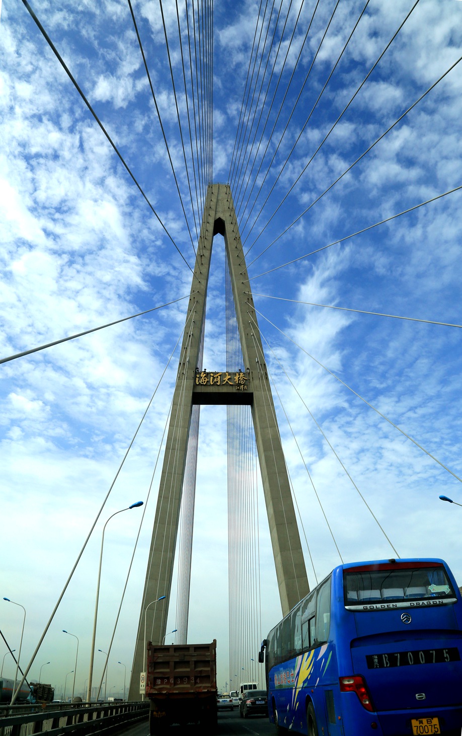 天津滨海大桥图片