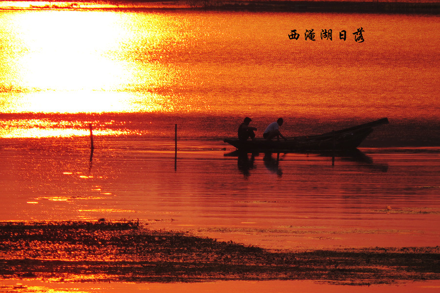 鿴