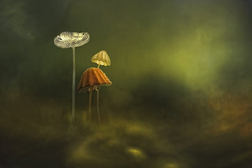 ΢֮ СµĻݲ 