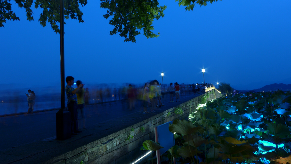 [夏天的味道]西湖斷橋的夏夜