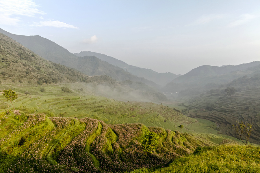 볿