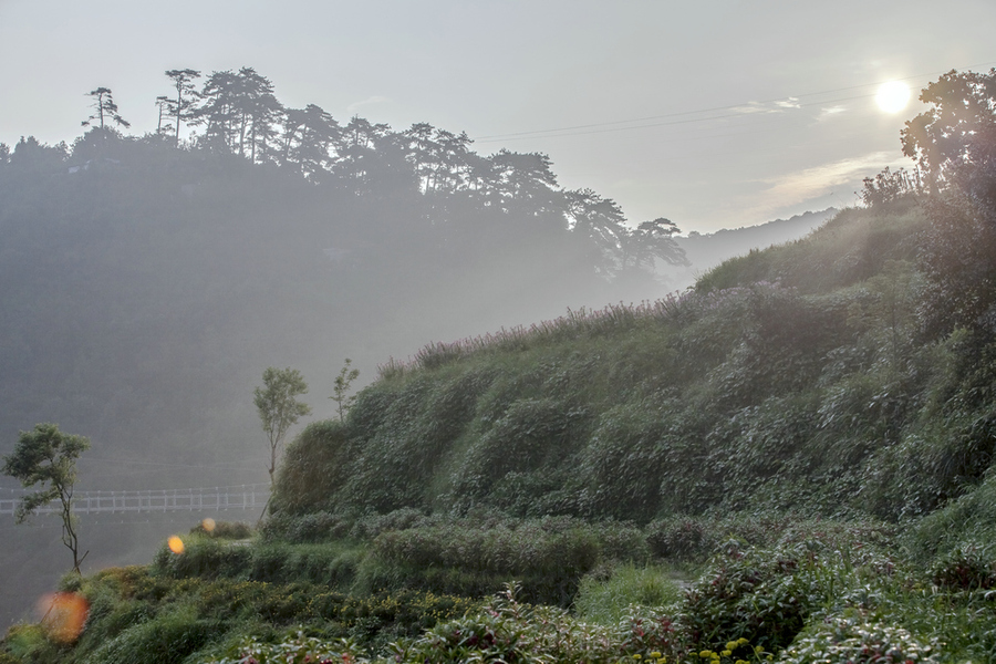 볿