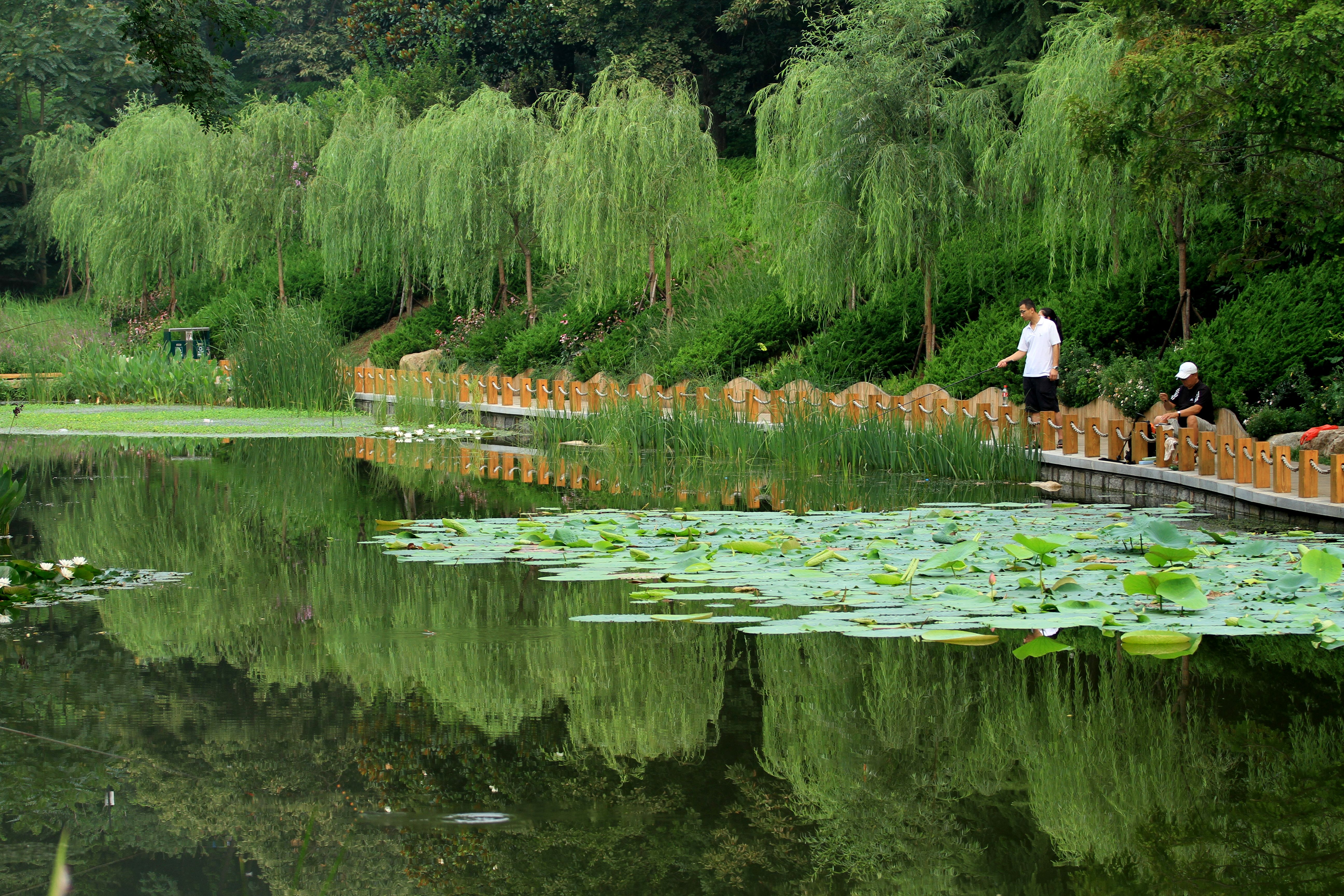 小湖光景