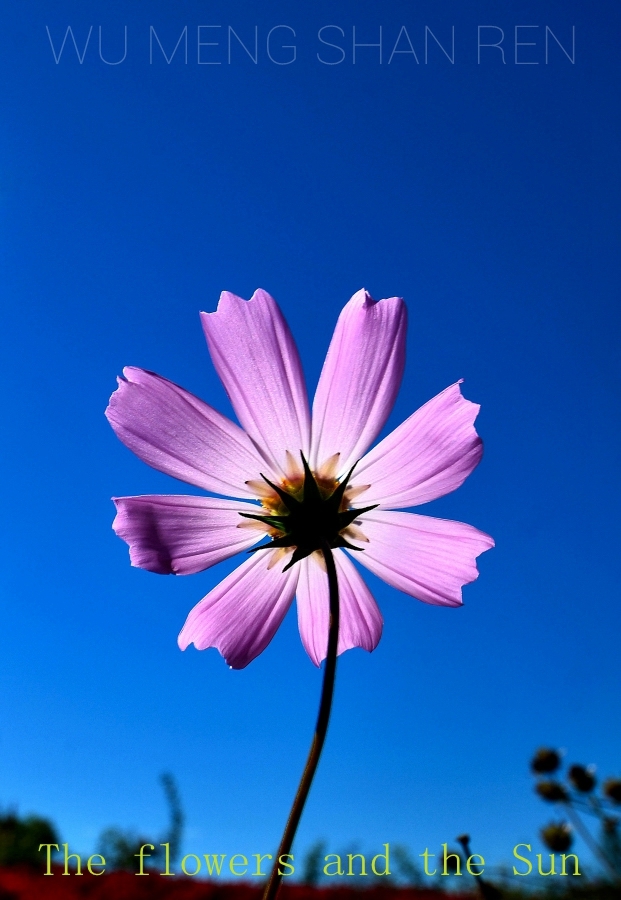 ̫