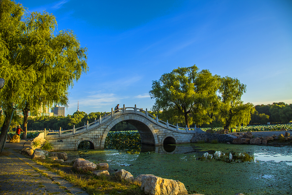 南湖公園隨拍