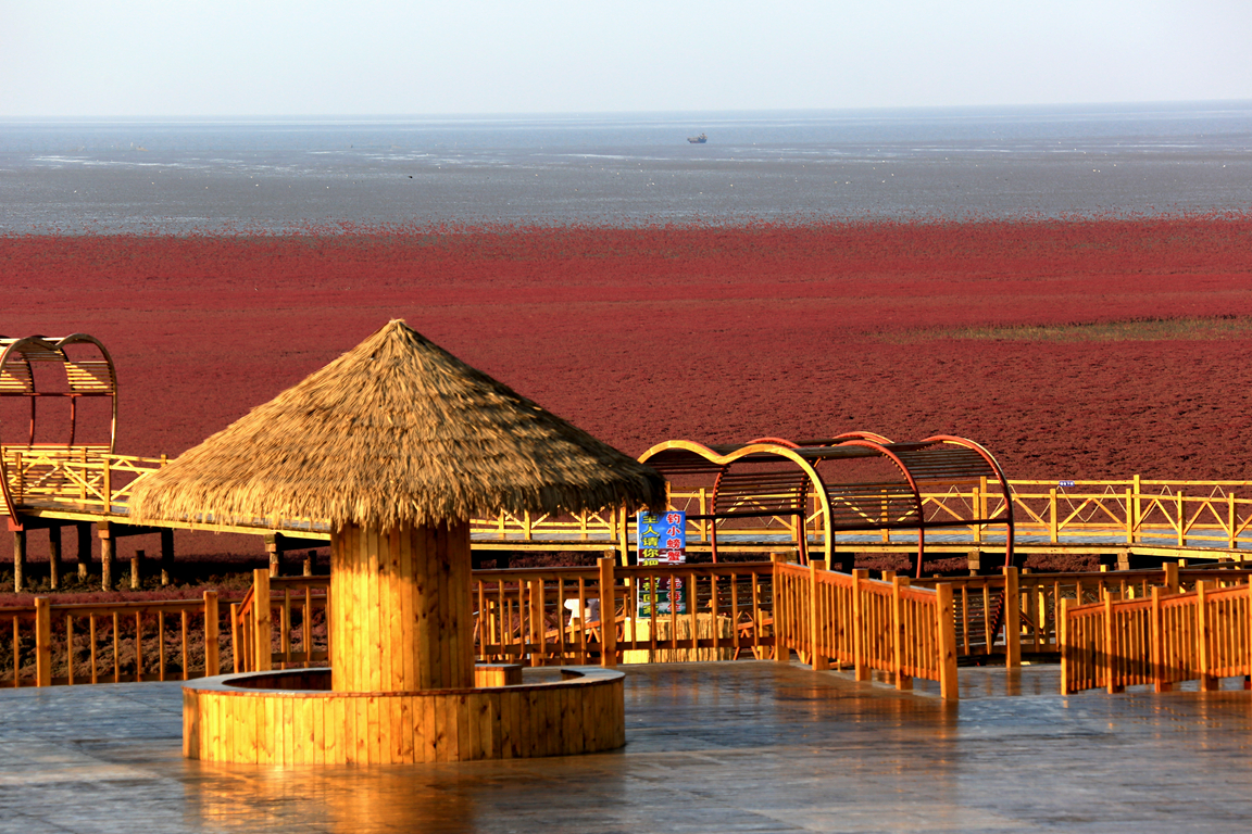 红海滩旅游风景区图片
