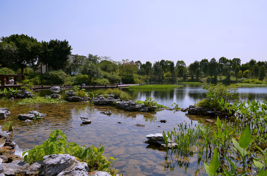 海珠溼地公園——秋遊的悠閒好去. (共 20 p)