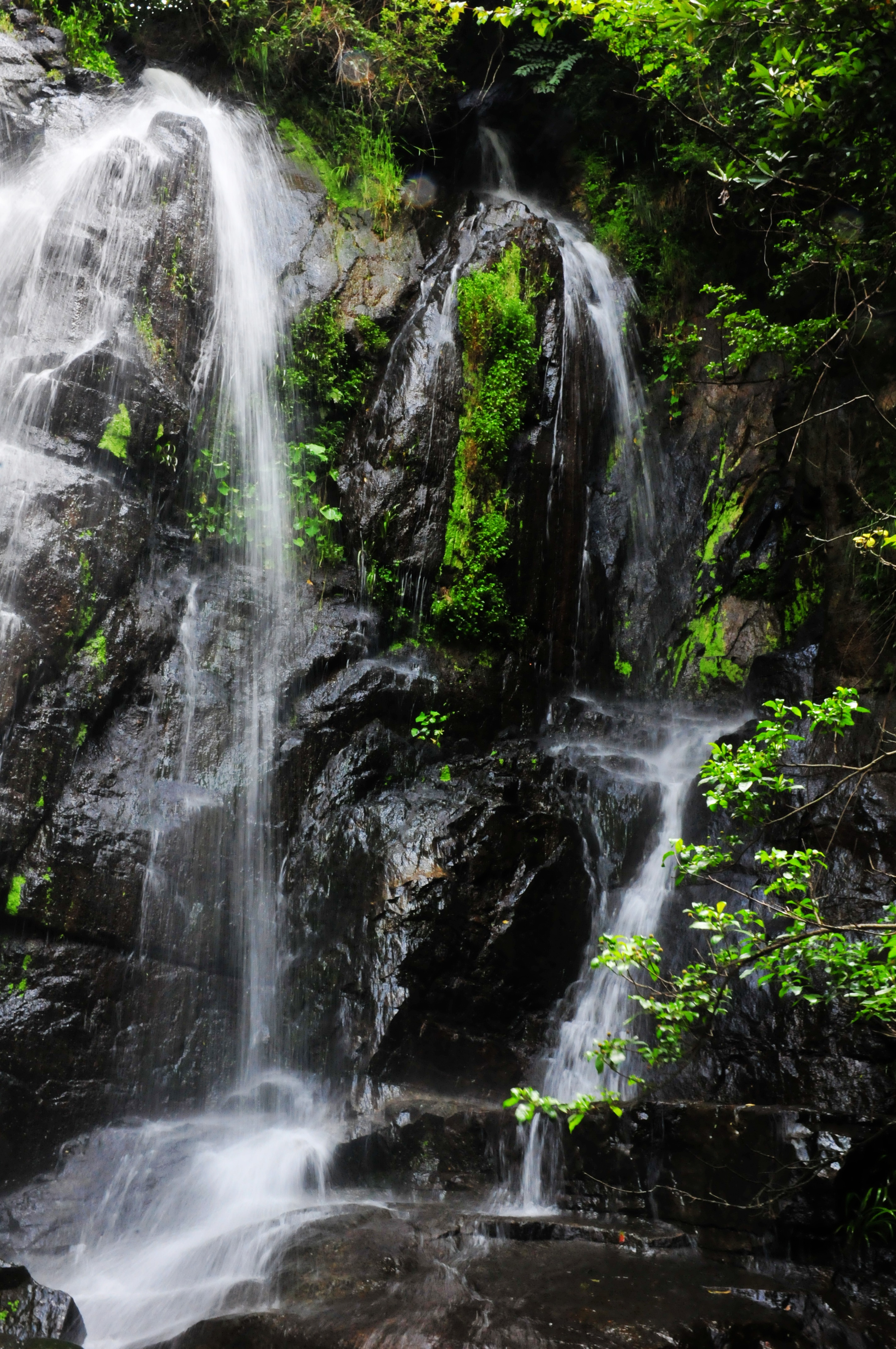 肥岭瀑布(家乡小景随拍)