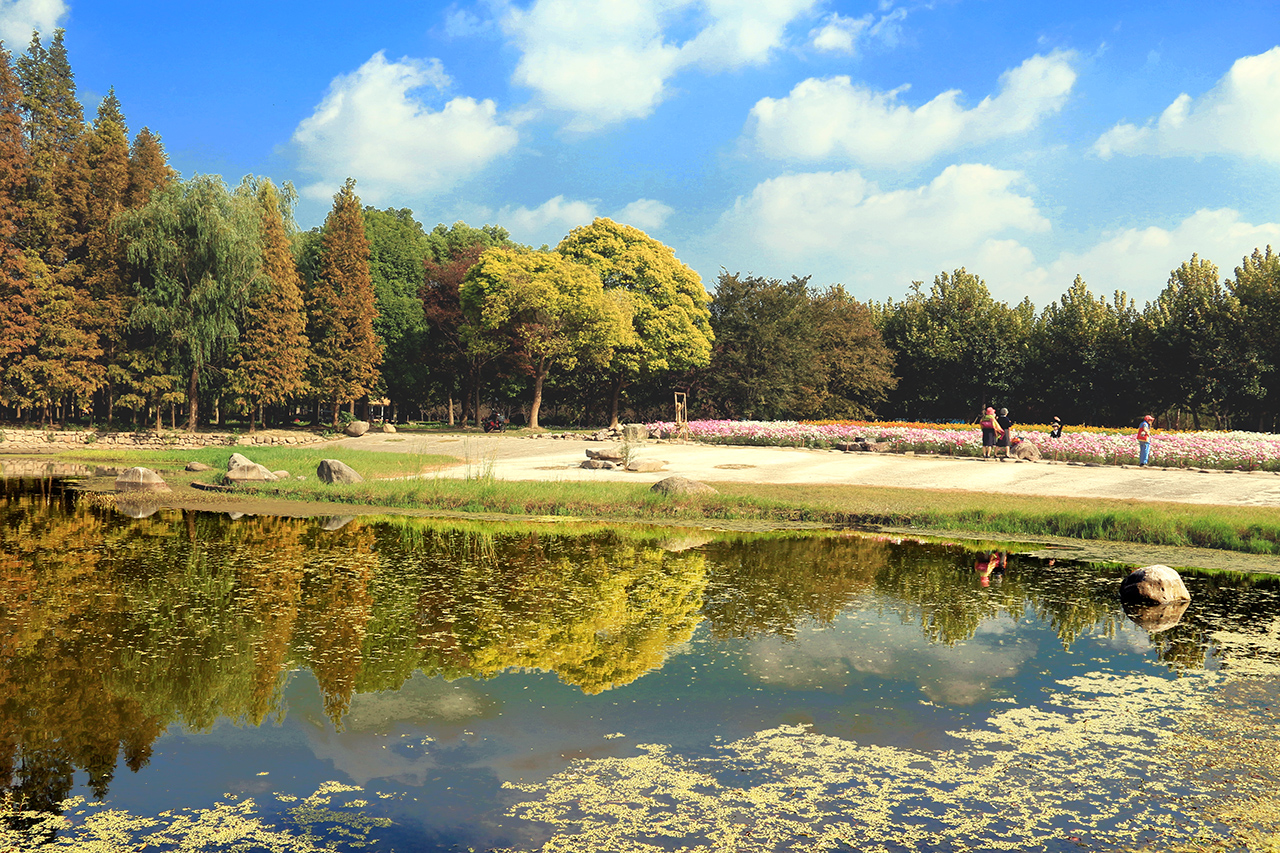 泗洪世纪公园的图片图片