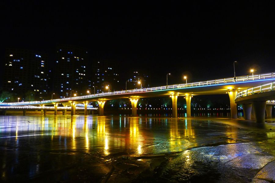 清远江心岛夜景图片