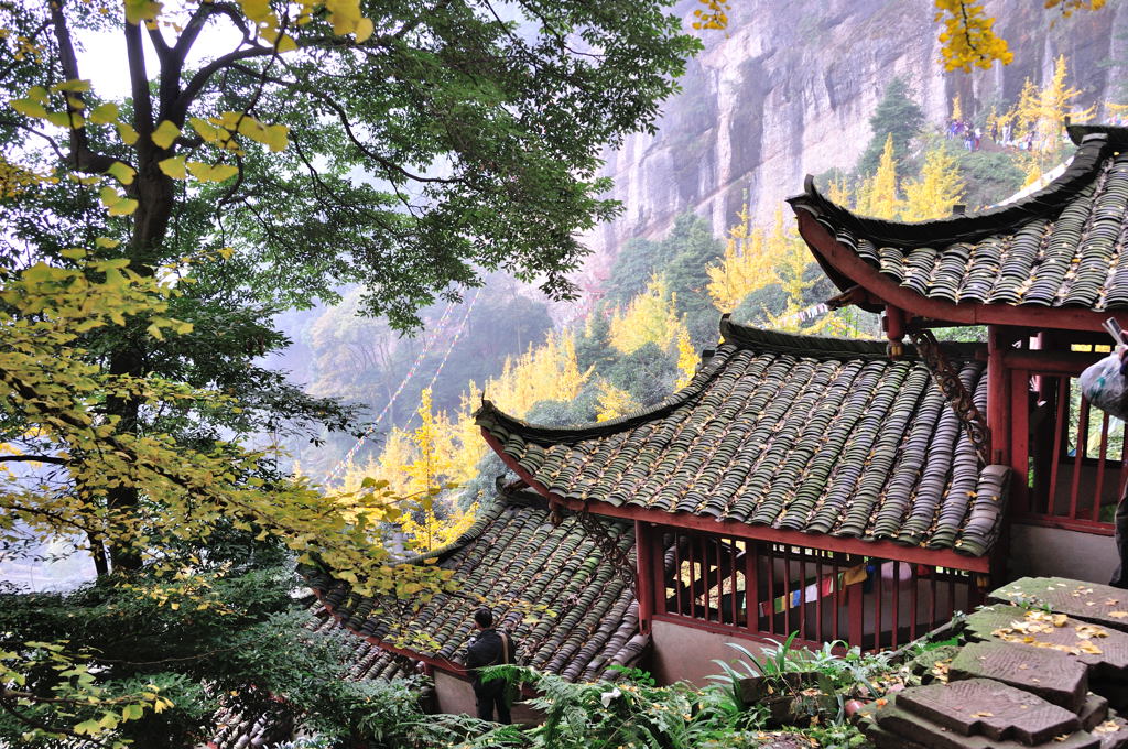 深山藏古寺,銀杏泛金黃--白巖寺隨拍