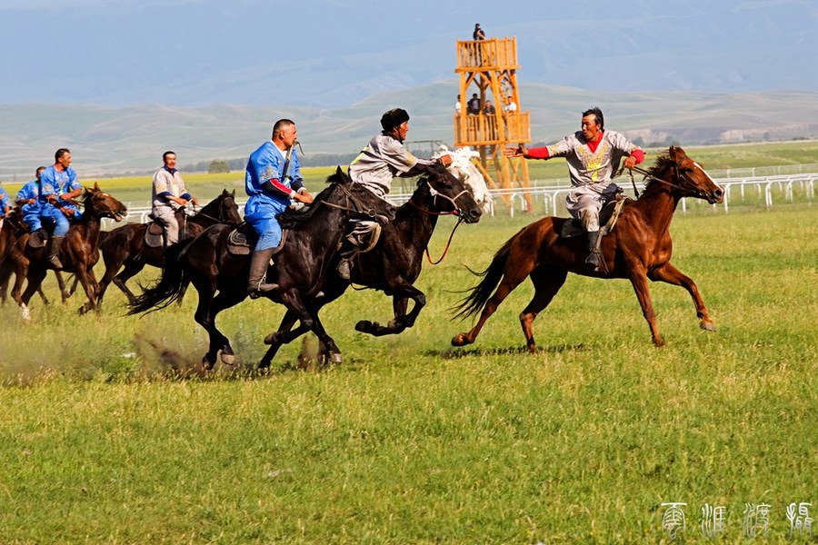 《新疆韶苏天马节抓拍的叼羊比赛》