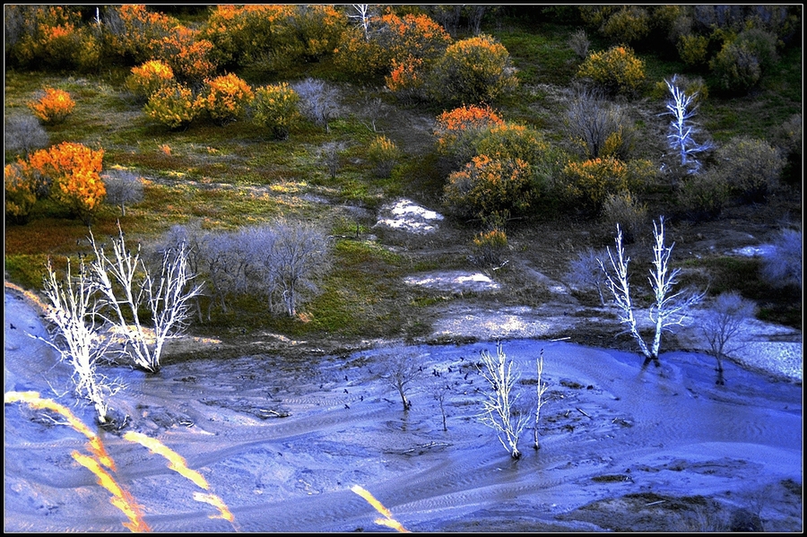 ϣ͸繵ع