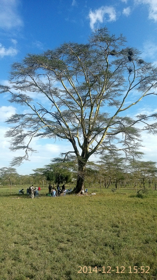 MAASAI LAND ԰֮