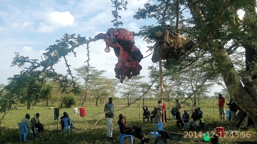 MAASAI LAND ԰֮