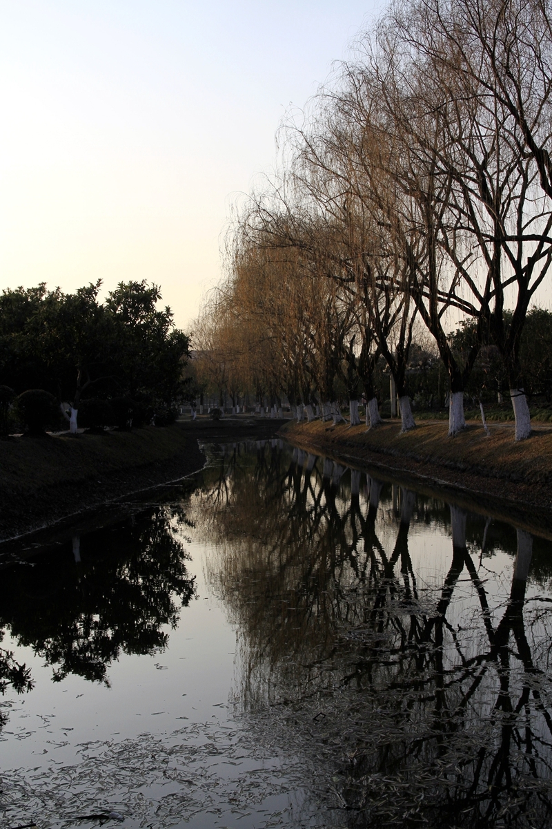 【美麗的花園式校園—上海大學攝影圖片】風光攝影_太平洋電腦網攝影