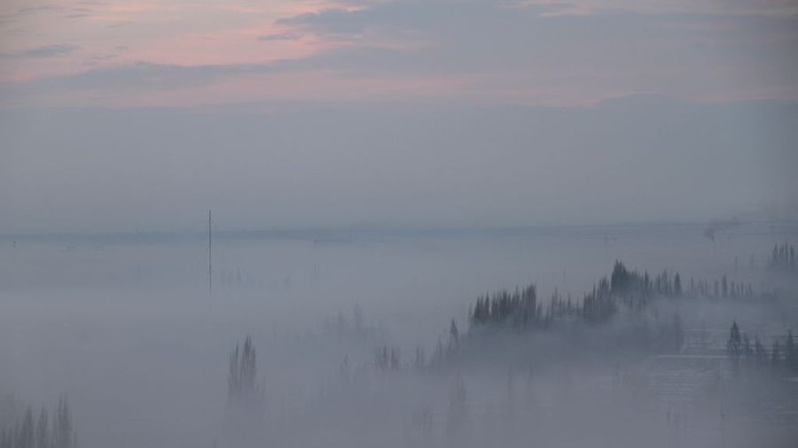 今早的晨雾，犹如海市蜃楼