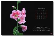 2015年花季（花神）月历（下半年）