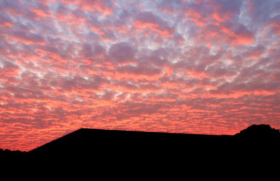 朝霞紅