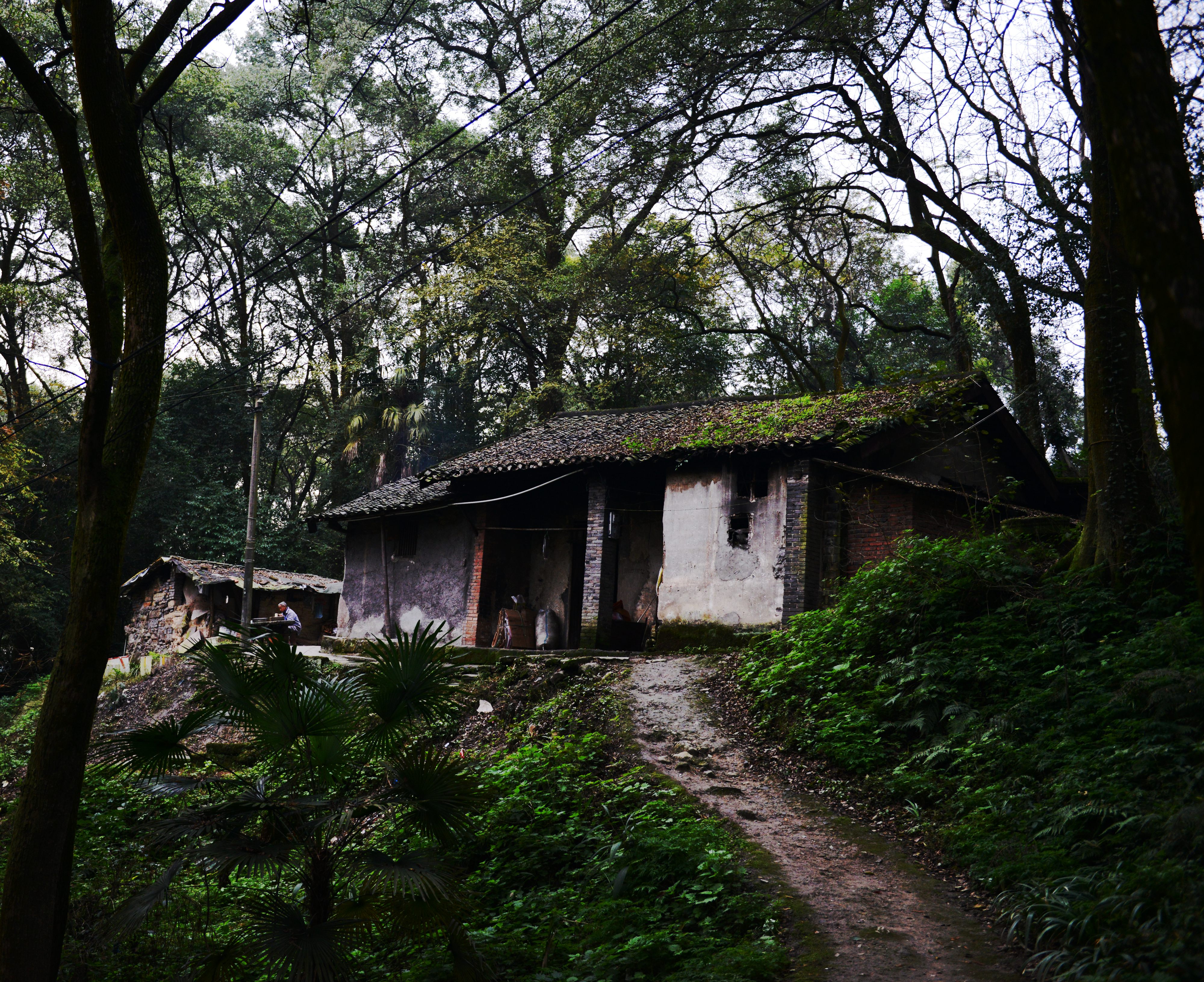 漫游重庆歌乐山