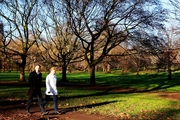 伦敦：海德公园小景