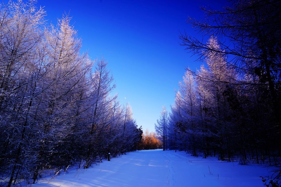 走进林海雪原