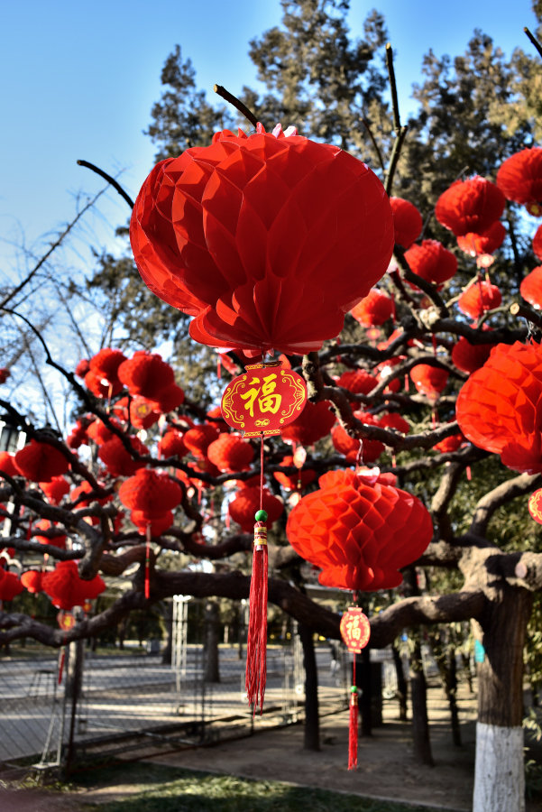 春节景色的图片大全图片