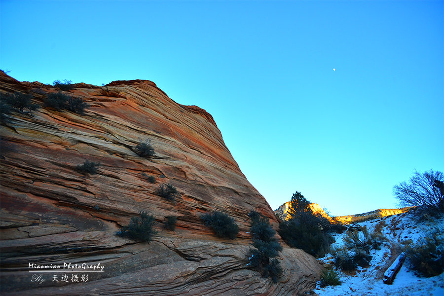 ҹ԰Zion National Park