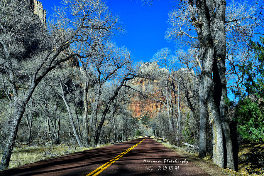 锡安国家公园Zion National Park