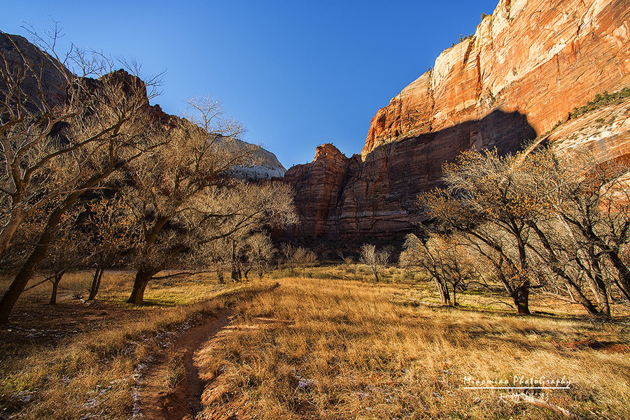 ҹ԰Zion National Park
