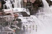 ƺӺڹұ