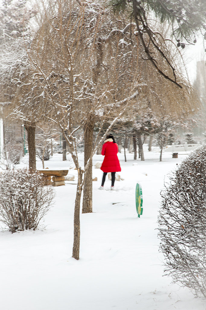 三月裡的小雪