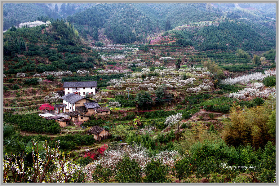 九峰山上春意浓