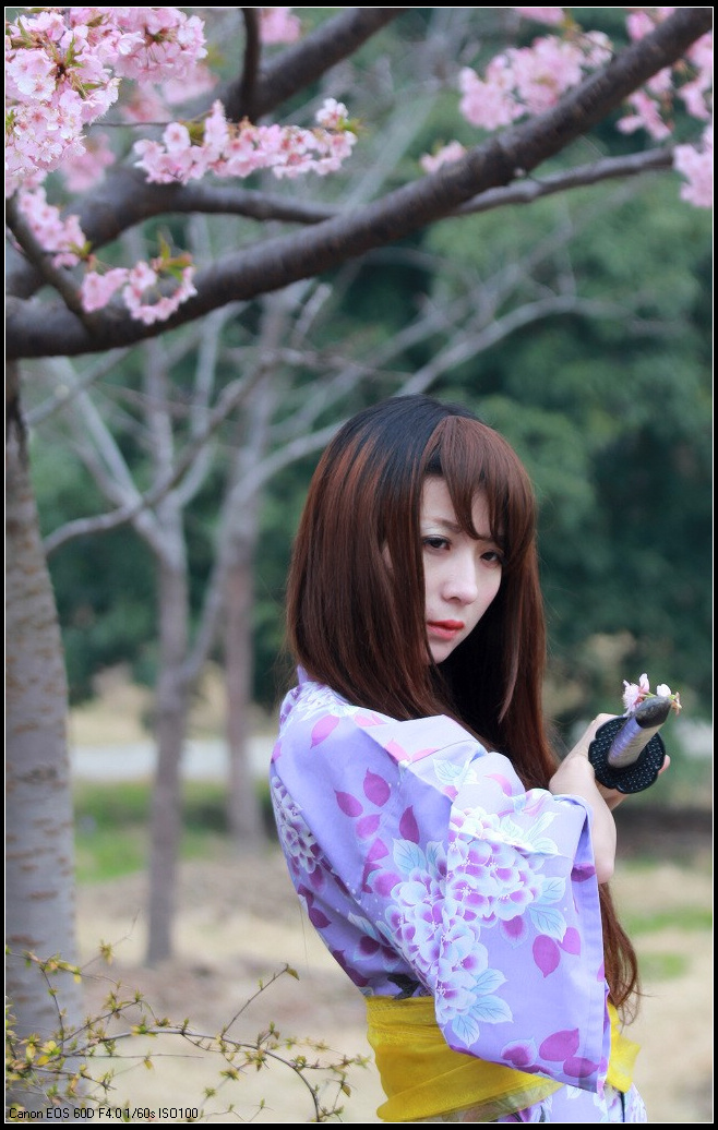 樱花树下的日本女忍者