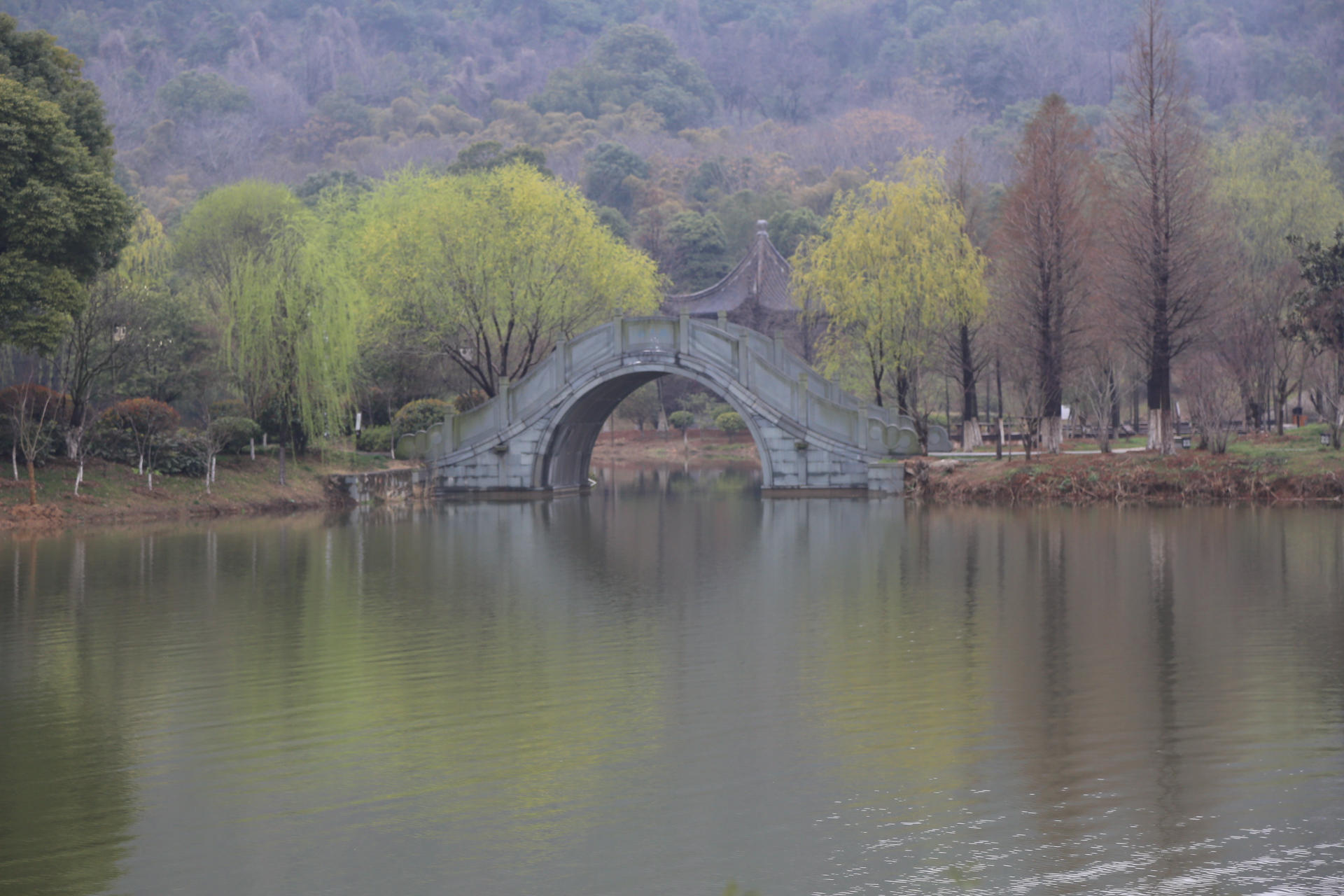 家乡美景