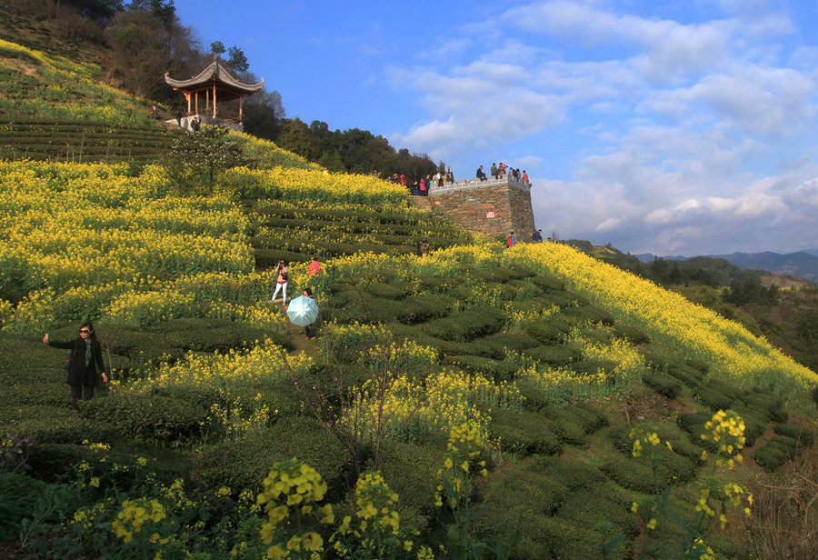 歙县石潭村春暖花开