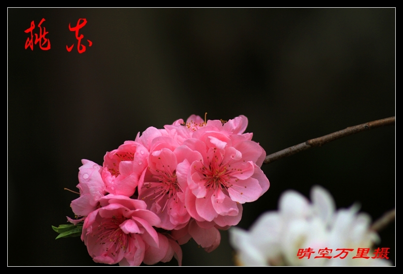 һ(2)