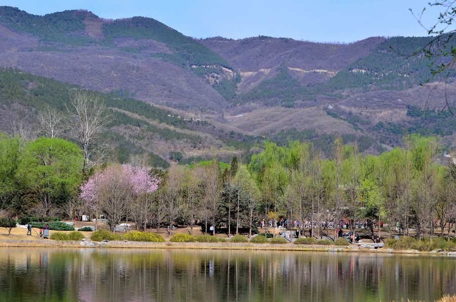 春天的北京植物园